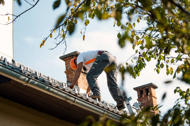 Best Flat Roof Repair Services  in Abbotsford, WI